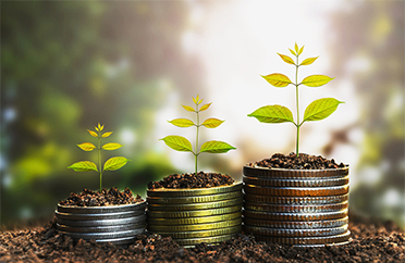 stacks of coins with plants growing out of the top